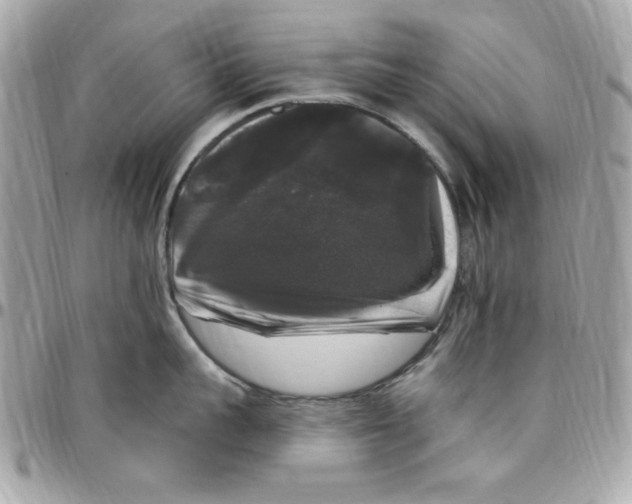 X0000097790959200803211818