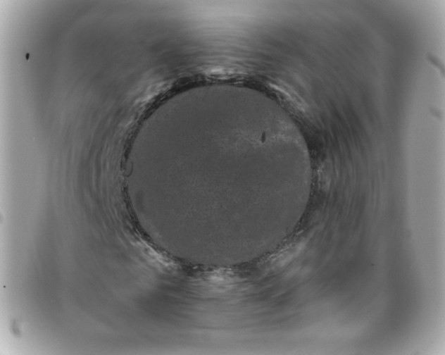 X0000097790961200803211817