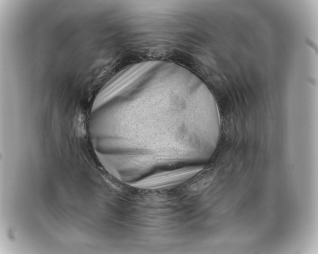 X0000097790962200803211817