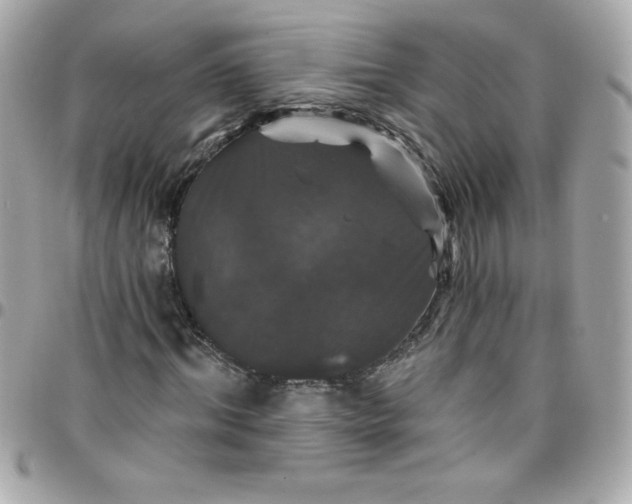 X0000097790964200803211817