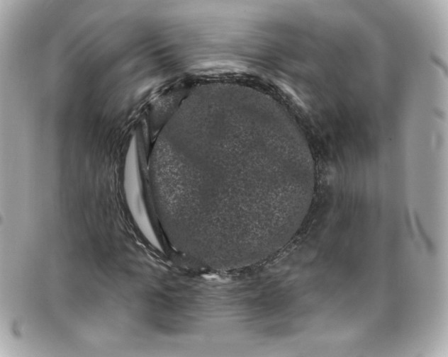 X0000097790965200803211817