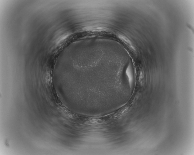 X0000097790966200803211817
