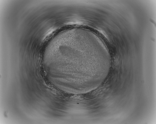 X0000097790967200803211817
