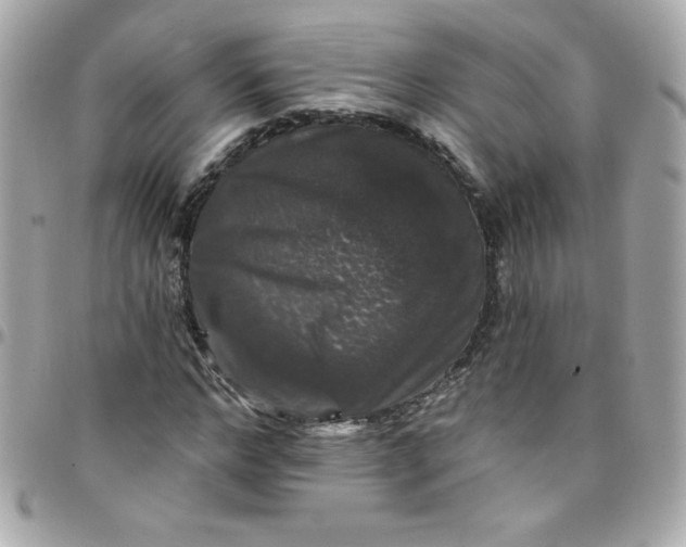 X0000097790968200803211817