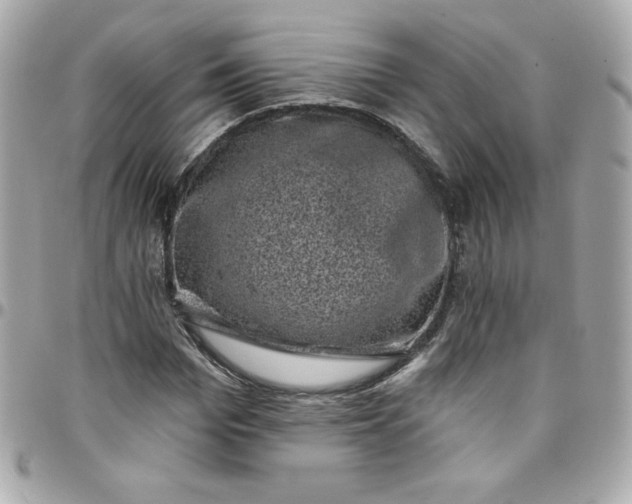 X0000097790969200803211817