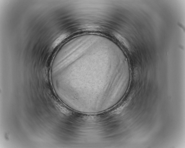X0000097790970200803211817
