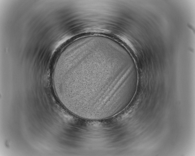 X0000097790971200803211817