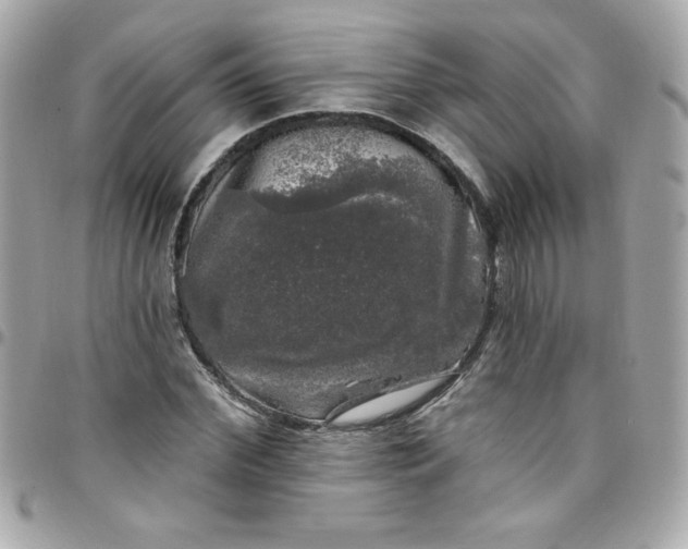 X0000097790972200803211817