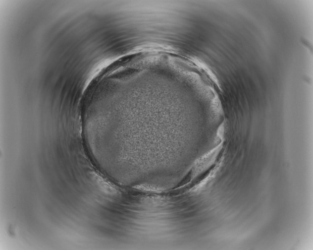 X0000097790973200803211817