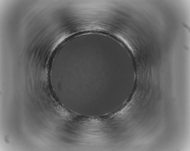 X0000097790975200803211817