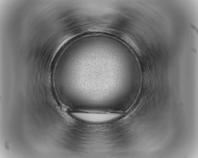 X0000097790976200803211817