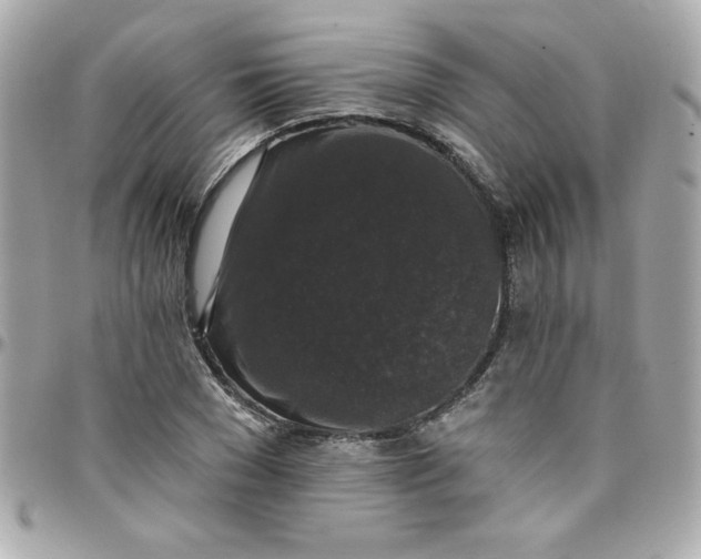 X0000097790977200803211817