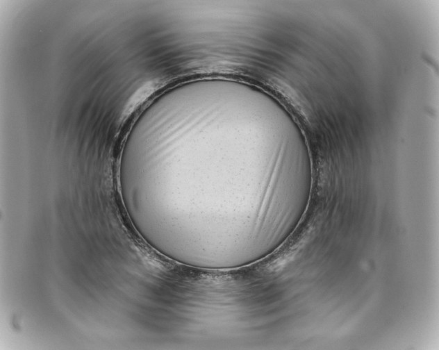 X0000097790978200803211817