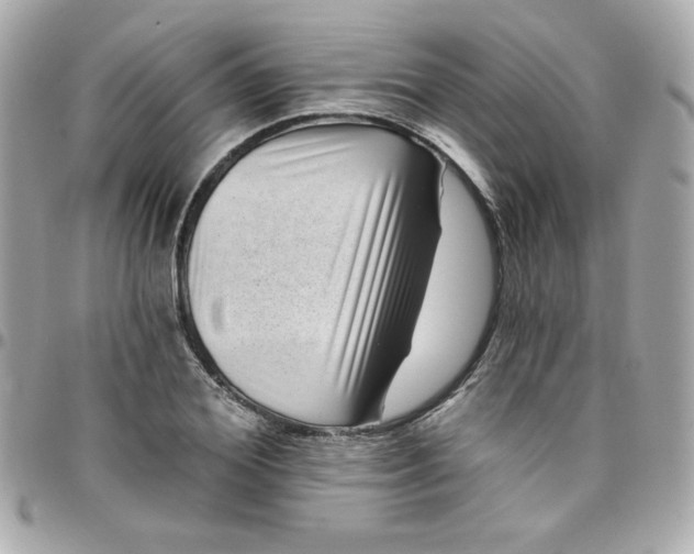 X0000097790980200803211817