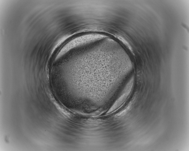 X0000097790981200803211817