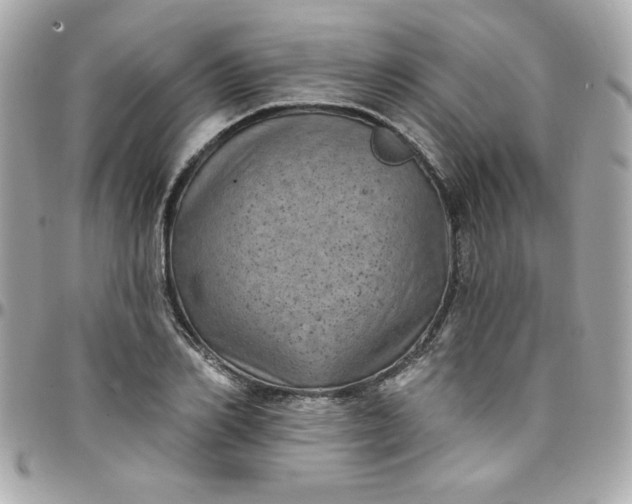 X0000097790982200803211817