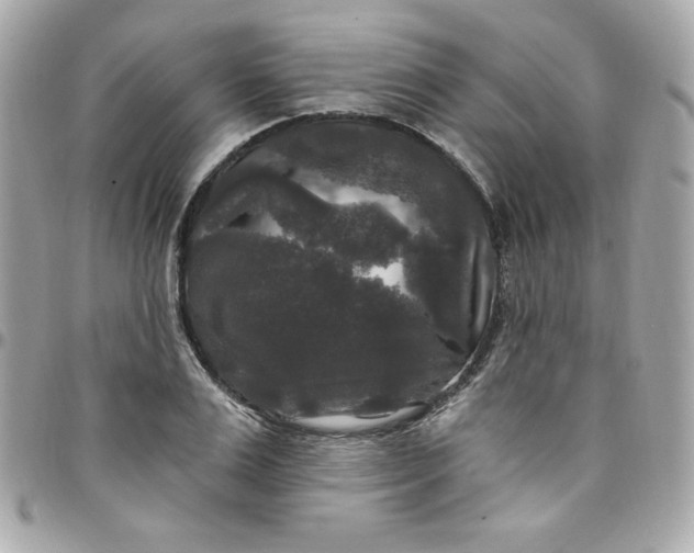 X0000097790983200803211817