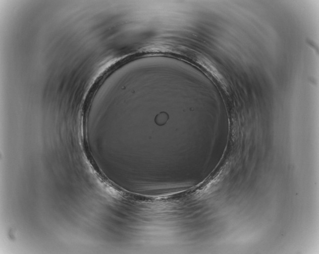 X0000097790984200803211817