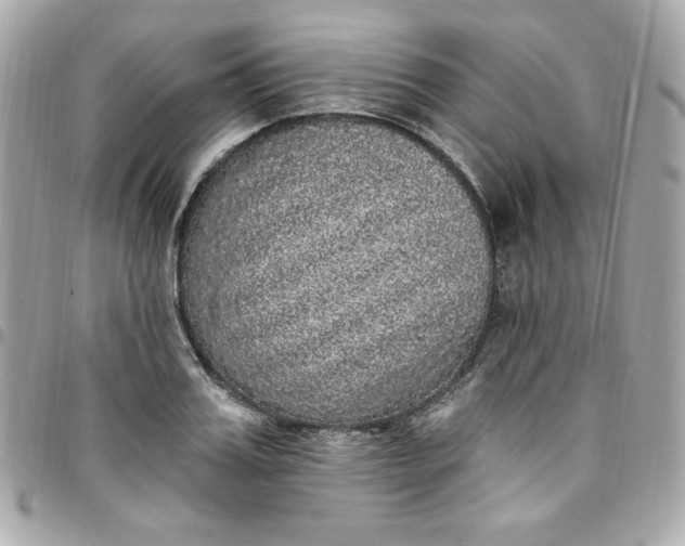 X0000097790987200803211817