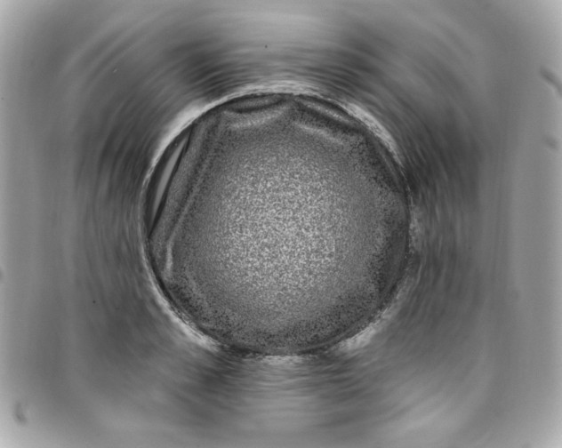 X0000097790989200803211817
