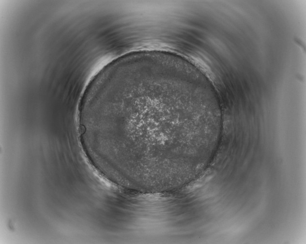 X0000097790990200803211817