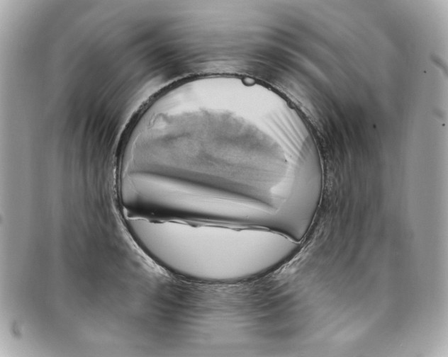 X0000097790992200803211817