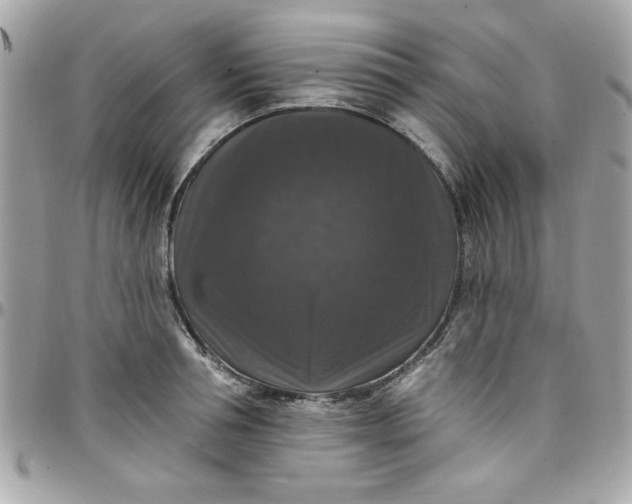X0000097790994200803211817