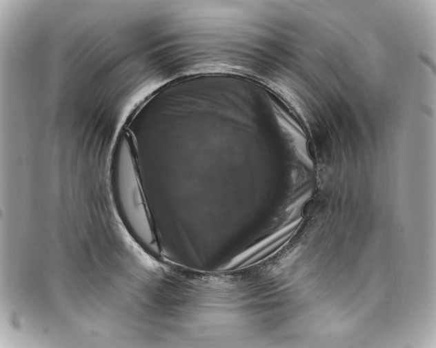 X0000097790995200803211817