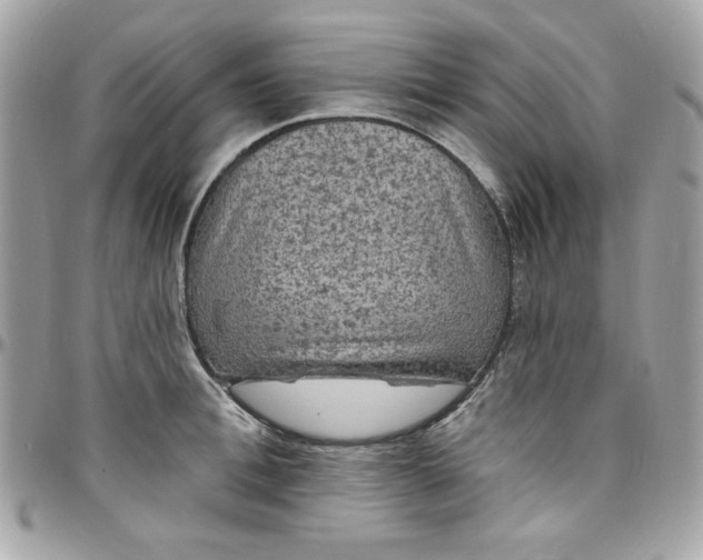 X0000097790996200803211817