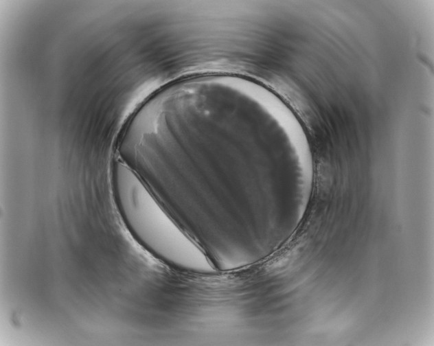 X0000097790998200803211817