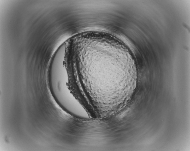 X0000097790999200803211817