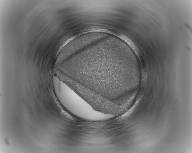 X0000097791001200803211817