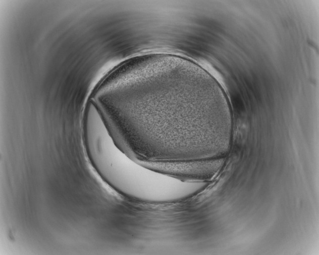 X0000097791005200803211817