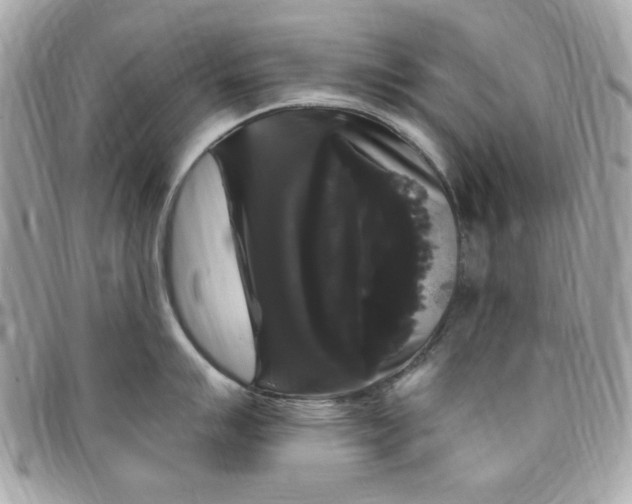 X0000097791007200803211817