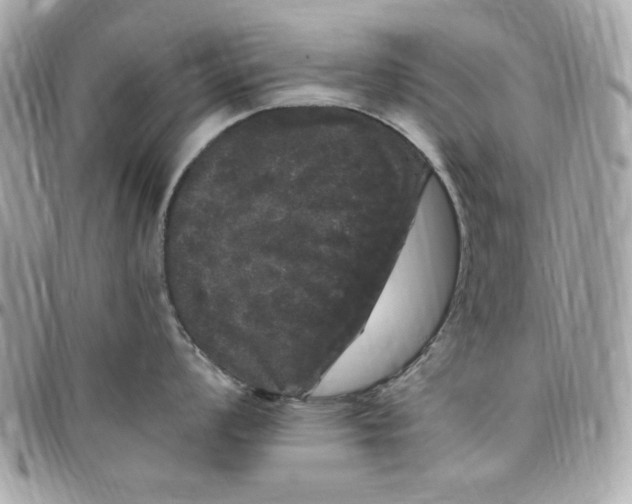X0000097791008200803211817