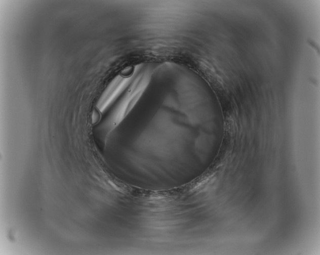 X0000097791009200803211816