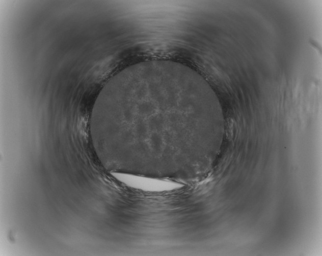 X0000097791010200803211816