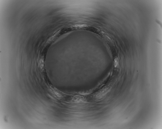 X0000097791011200803211816