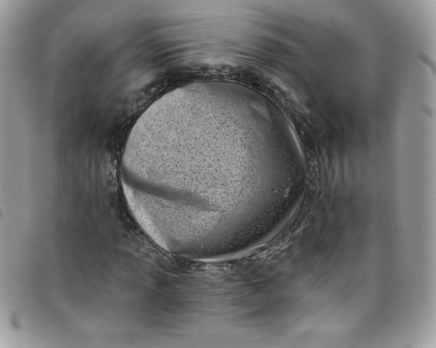 X0000097791013200803211816