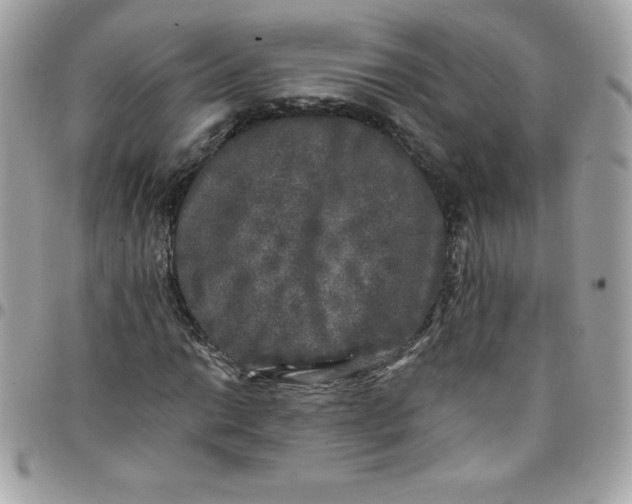 X0000097791014200803211816