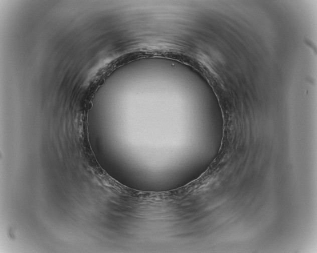X0000097791016200803211816