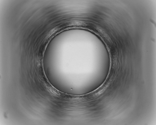 X0000097791017200803211816