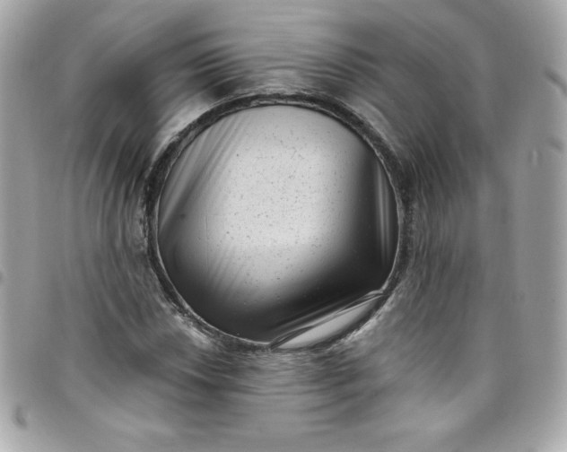X0000097791018200803211816