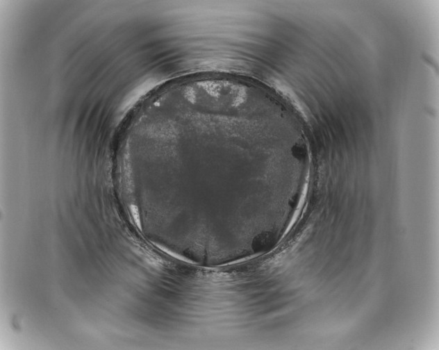 X0000097791019200803211816