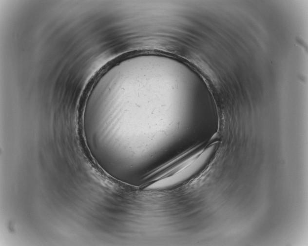 X0000097791020200803211816