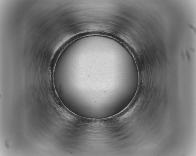 X0000097791021200803211816