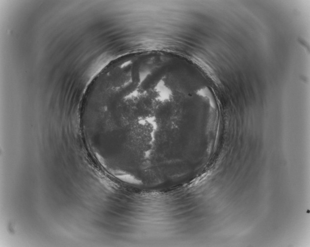 X0000097791023200803211816
