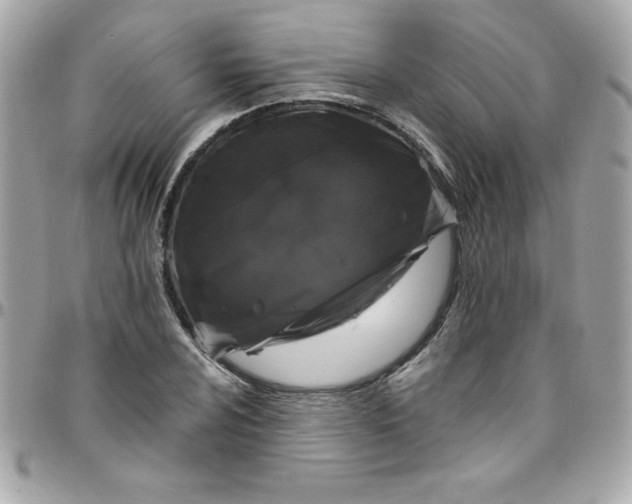 X0000097791024200803211816