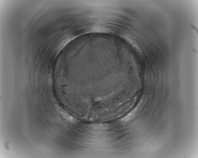 X0000097791025200803211816