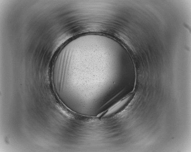 X0000097791026200803211816